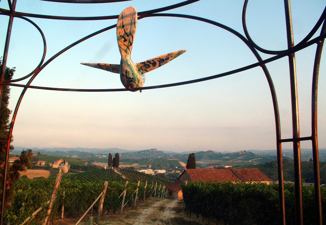 Michele Chiarlo: Family Owned and Artfully Made